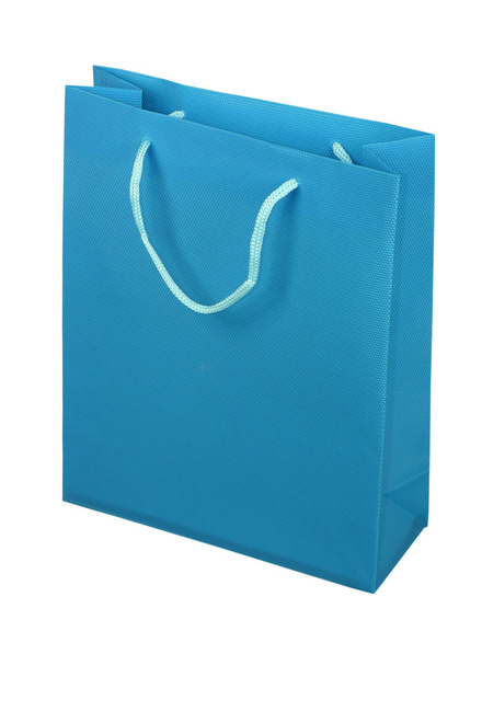 Darčeková taška Festum Blue 22x18x7,5 cm