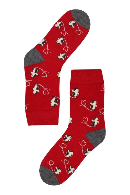 Veselý ježko - dámska vianočná ponožka