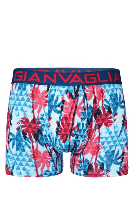 Gianvaglia boxerky s pásovou gumou GVGT-028 viacfarebná veľkosť: L