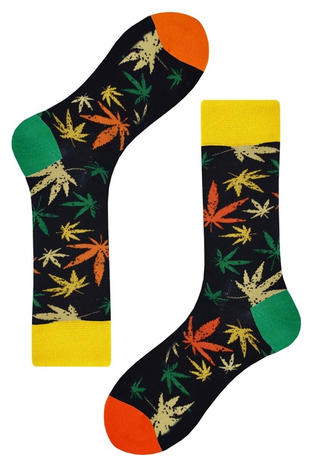 Amsterdam leaf ponožky veselé SK-008 viacfarebná veľkosť: 36-40